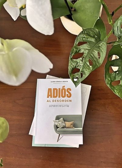 libro Adiós al desorden3